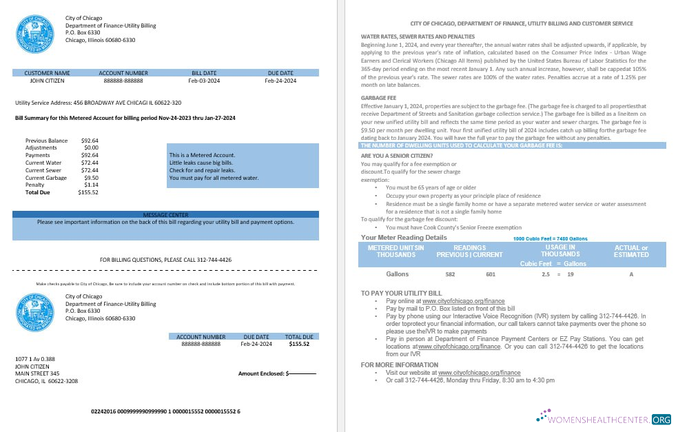 download USA City of Chicago department of finance utility bill statement in Word and PDF formats PDF template
